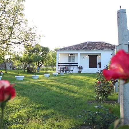 "Per Mik" Cottage In Vineyard Shkodër エクステリア 写真