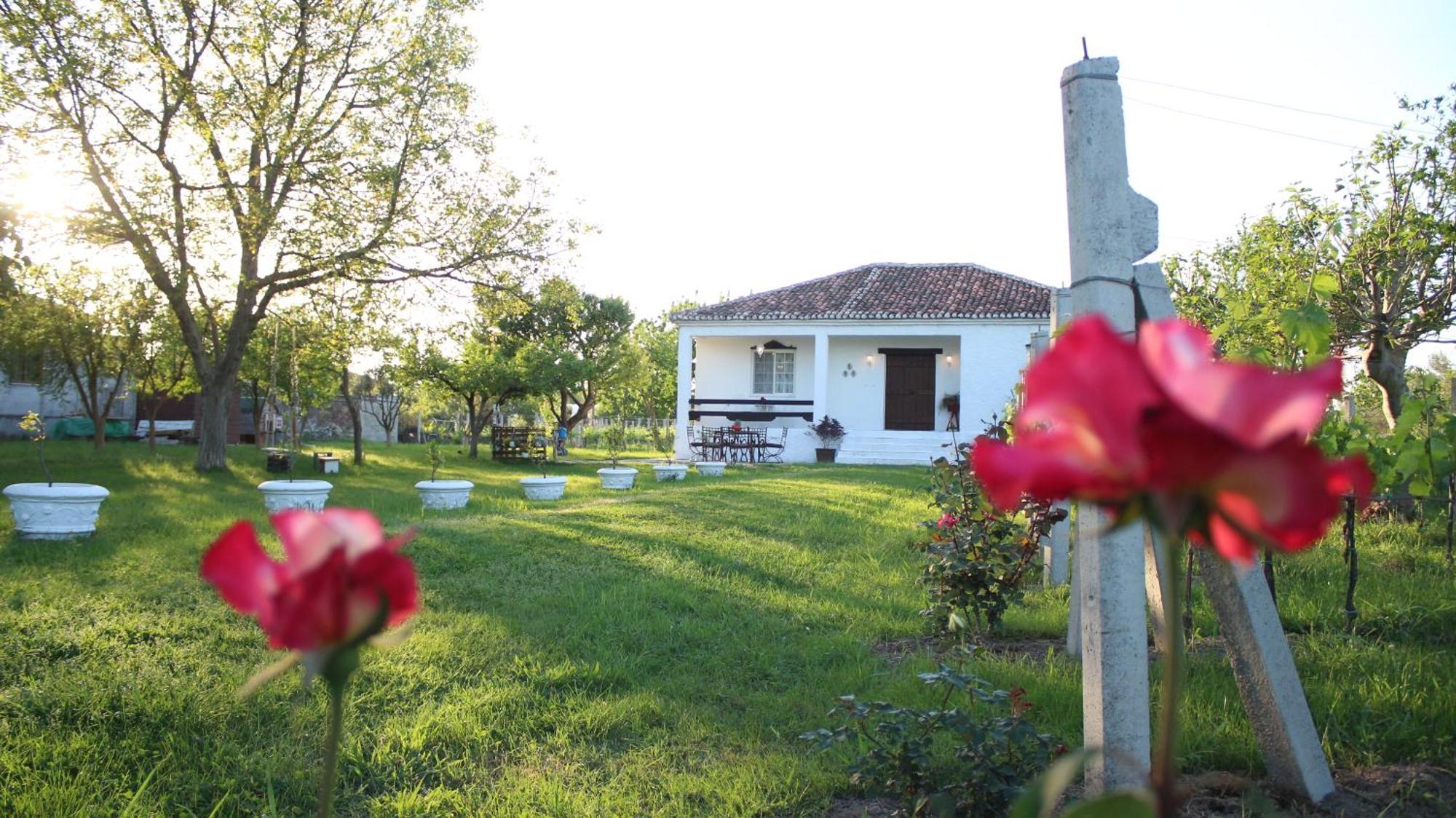 "Per Mik" Cottage In Vineyard Shkodër エクステリア 写真