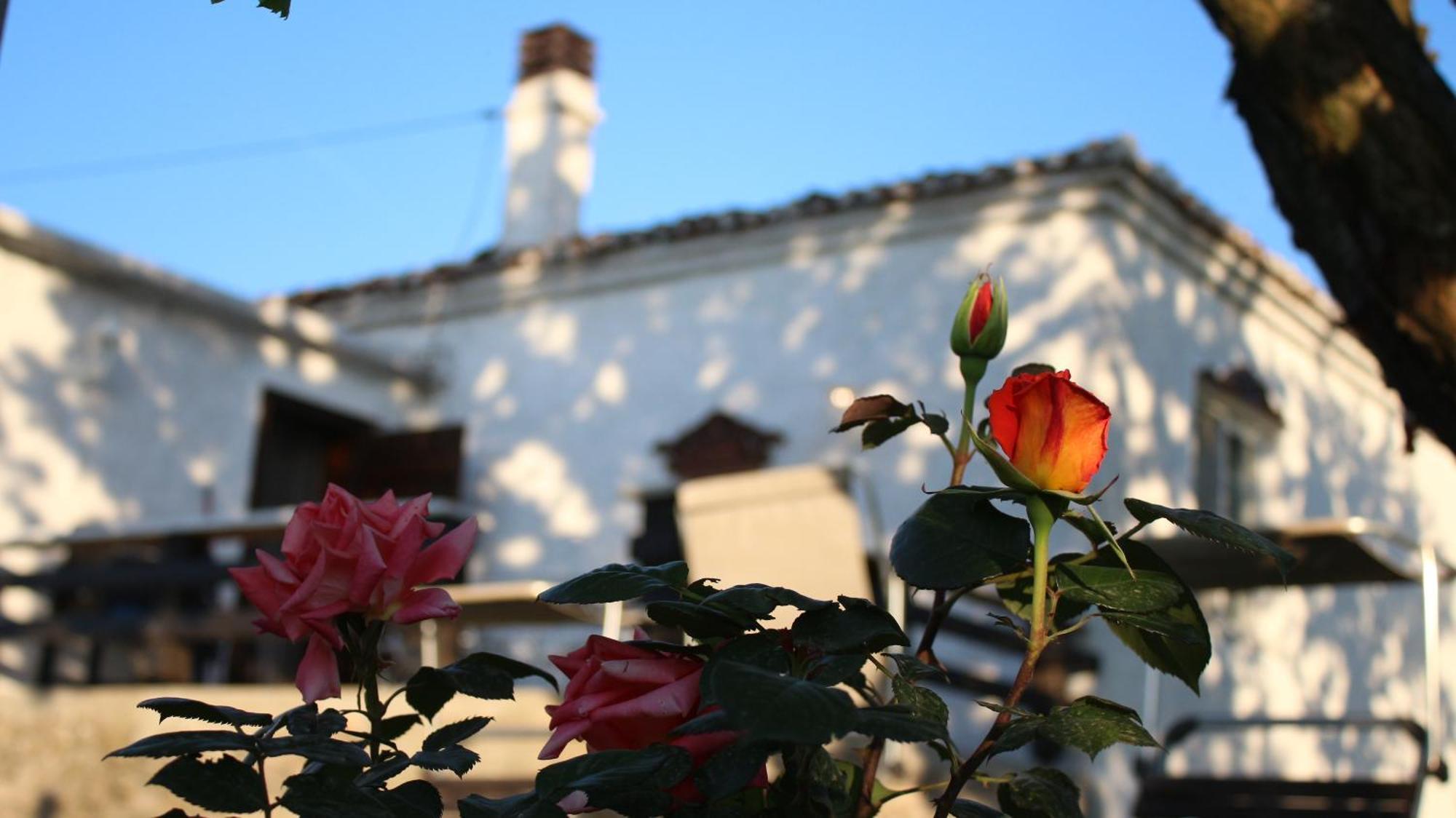 "Per Mik" Cottage In Vineyard Shkodër エクステリア 写真