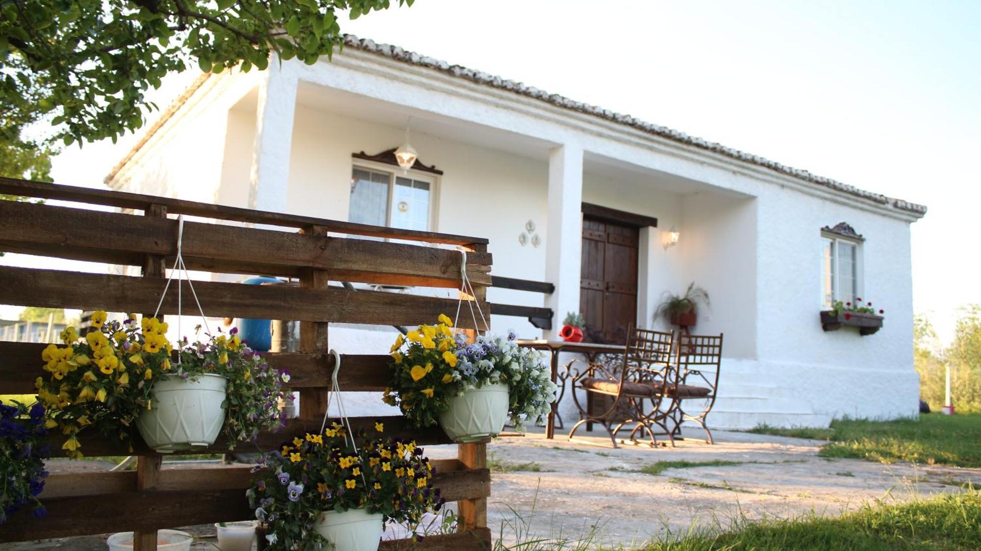 "Per Mik" Cottage In Vineyard Shkodër エクステリア 写真